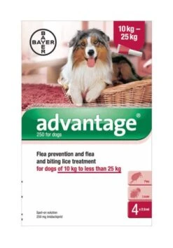 Bayer Advantage 250 Spot-On Solution Dogs 4 X 2.5ml Pipette 10-25kg