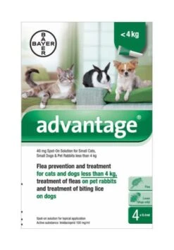 Bayer Advantage 40 Spot-On Solution 4 X 0.4ml Pipette 0-4kg