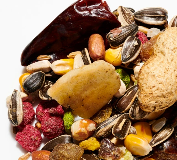 Albert E James Super Deluxe Parrot / Fruit 12.5kg 1 Albert E James Super Deluxe Parrot / Fruit 12.5kg