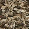 Medium Sunflower Seed 12.75kg