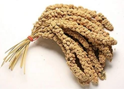 Copdock Mill Millet Spray Box 15kg