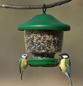 Jacobi Jayne My Favourites Feeder 2 Jacobi Jayne My Favourites Feeder - Image 2