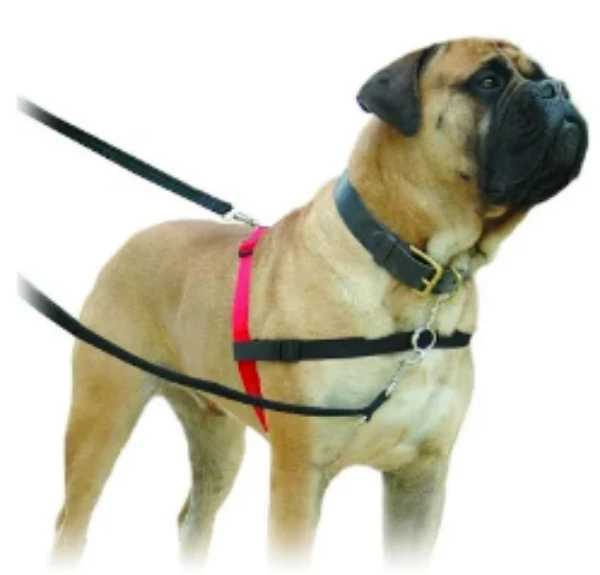 Company Of Animals Halti Harness Large 1 Company Of Animals Halti Harness Large