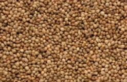 Copdock Mill Hemp Seed 15kg