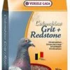 VERSELE-LAGA Versele Laga Colombine Grit & Redstone 20kg