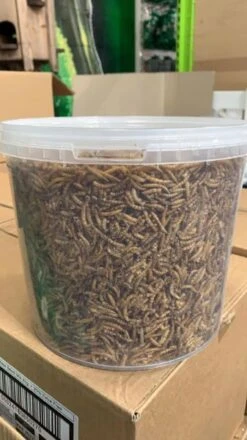 Rokers Wild Bird Food Tub - Mealworms 1kg