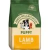 James Wellbeloved Puppy - Lamb & Rice 15kg