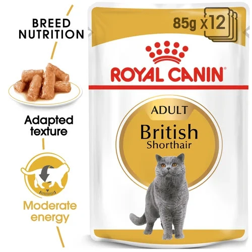 Royal Canin Cat - Pouch Box British Shorthair In Gravy 12x85g 2 Royal Canin Cat - Pouch Box British Shorthair In Gravy 12x85g - Image 2