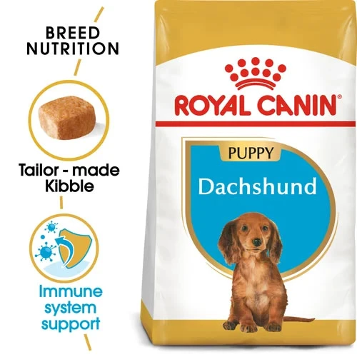 Royal Canin Dog - Dachshund Puppy 1.5kg 2 Royal Canin Dog - Dachshund Puppy 1.5kg - Image 2