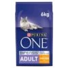 Purina ONE Adult Chicken And Whole Grains Dry Cat Food 6kg