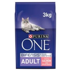 Purina ONE Adult Salmon And Whole Grains Dry Cat Food 3kg