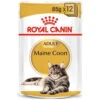 Royal Canin Cat - Pouch Box Maine Coon 12x85g