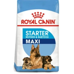 Royal Canin Dog - Maxi Starter Mother & Babydog 4kg