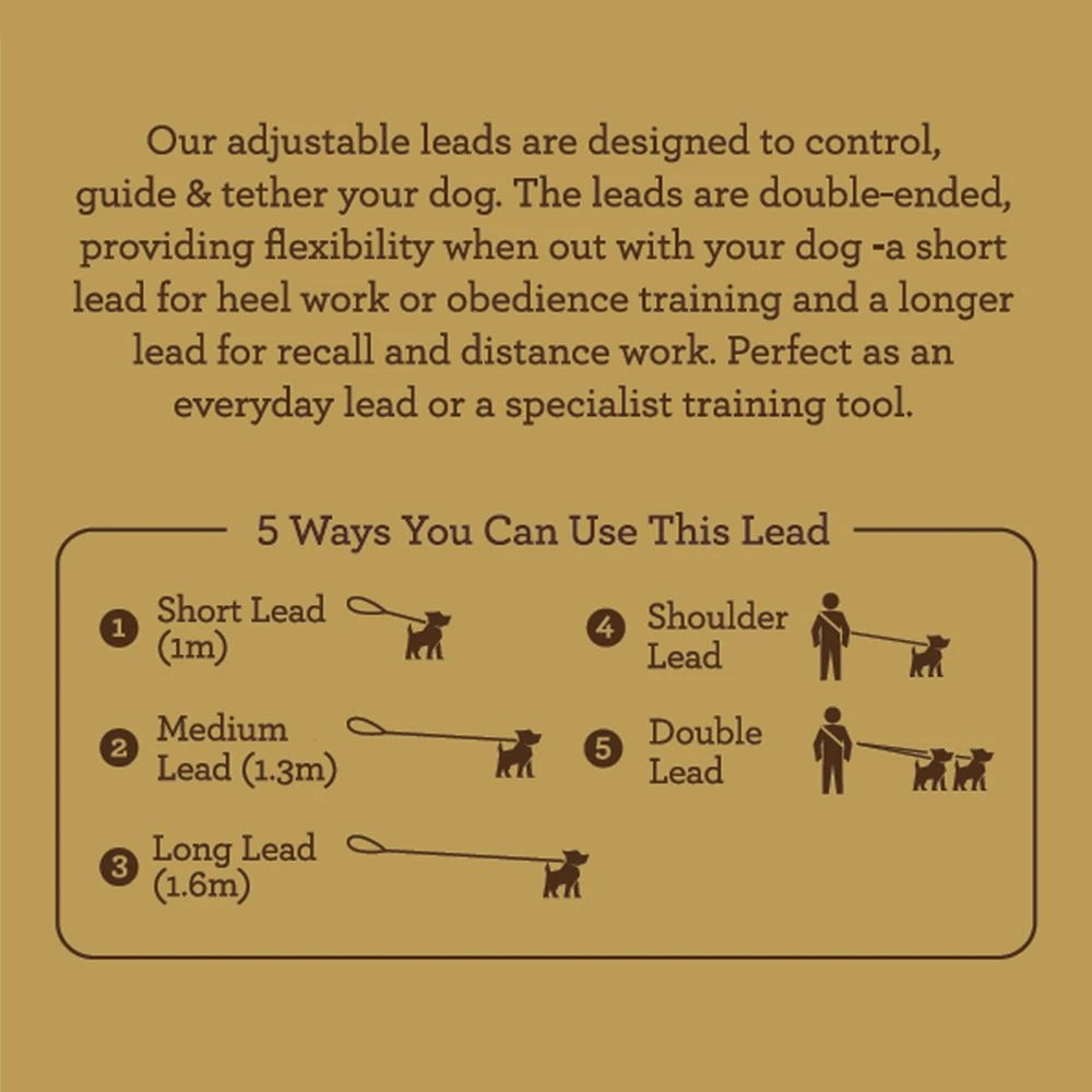 Great&Small Great & Small Country Adjustable Lead Forest Green 2.3m 2 Great&Small Great & Small Country Adjustable Lead Forest Green 2.3m - Image 2
