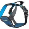 Company Of Animals CarSafe Crash Tested Harness Large