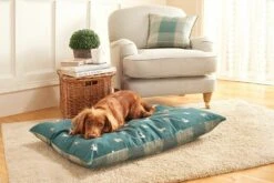 Danish Design Laura Ashley Park Dogs Deep Duvet Medium -Pet Products Shop 0028004 danish design laura ashley park dogs deep duvet medium